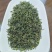 汉中绿茶
