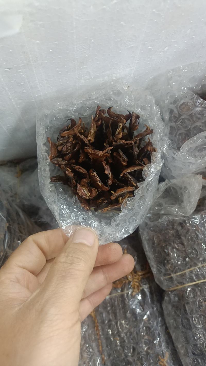 蜈蚣各种昆虫类的中药材有需要的老板下单就可以