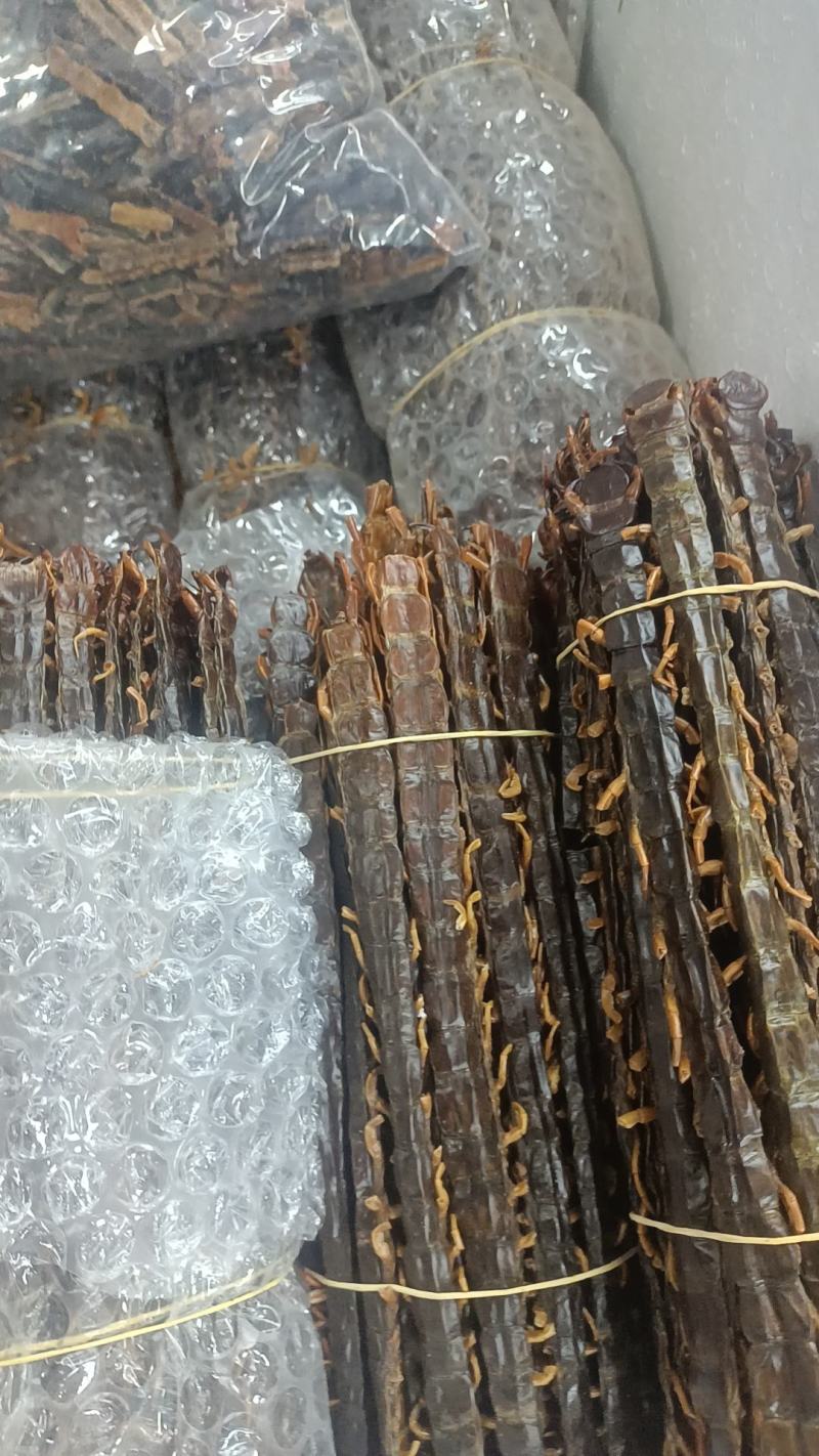 蜈蚣各种昆虫类的中药材有需要的老板下单就可以