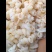 一手货源精品鱼肠