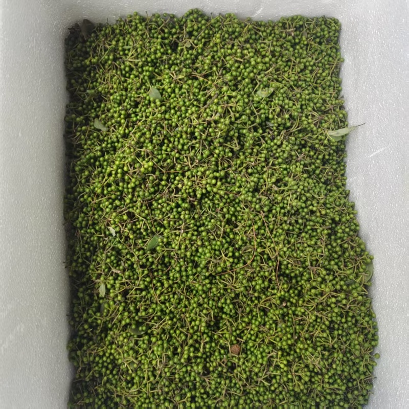 （木姜子）大量批发需要的联系，价格可谈，