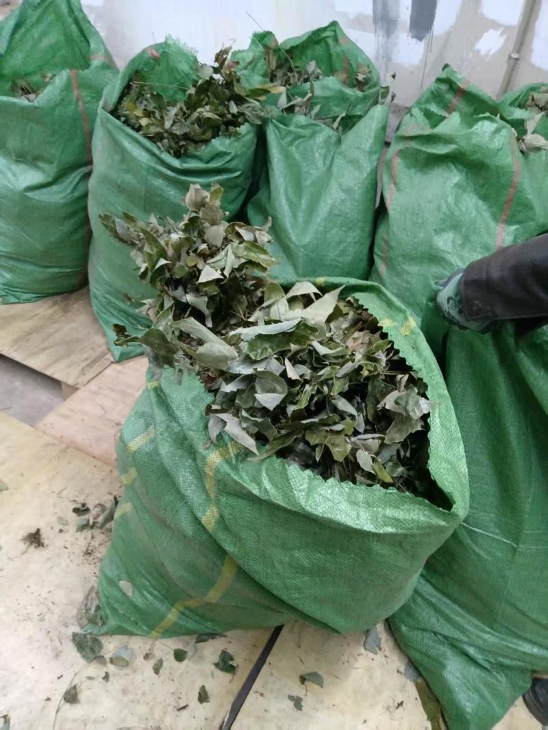 野生淫羊霍(大量批发，货量干爽青绿，产地价格)