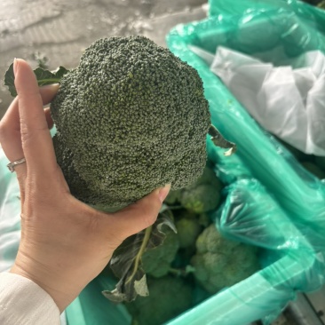 西兰花🥦