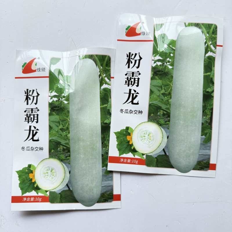 粉霸龙冬瓜种子长圆形粉皮冬瓜种子高产白皮长冬瓜种子