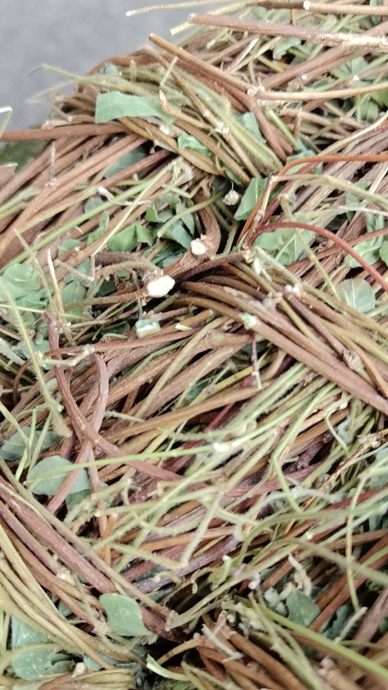 广西鸡骨草/小叶鸡骨草/鸡骨草长扎/产地直发供应各种规格