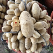 新土豆🥔沃土5号黄皮黄心💛新鲜上市，不空心，谢谢