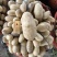 新土豆🥔沃土5号黄皮黄心💛新鲜上市，不空心，谢谢