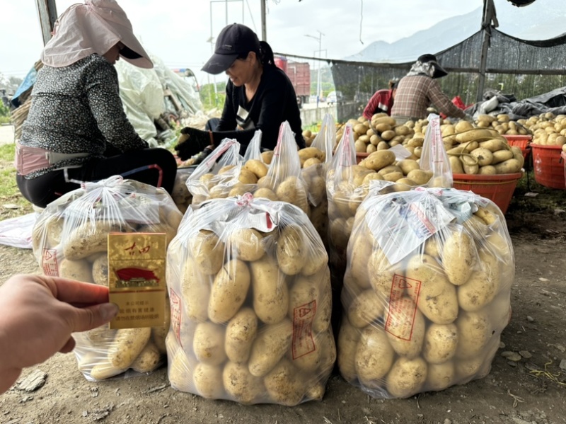 新土豆🥔沃土5号黄皮黄心💛新鲜上市，不空心，谢谢