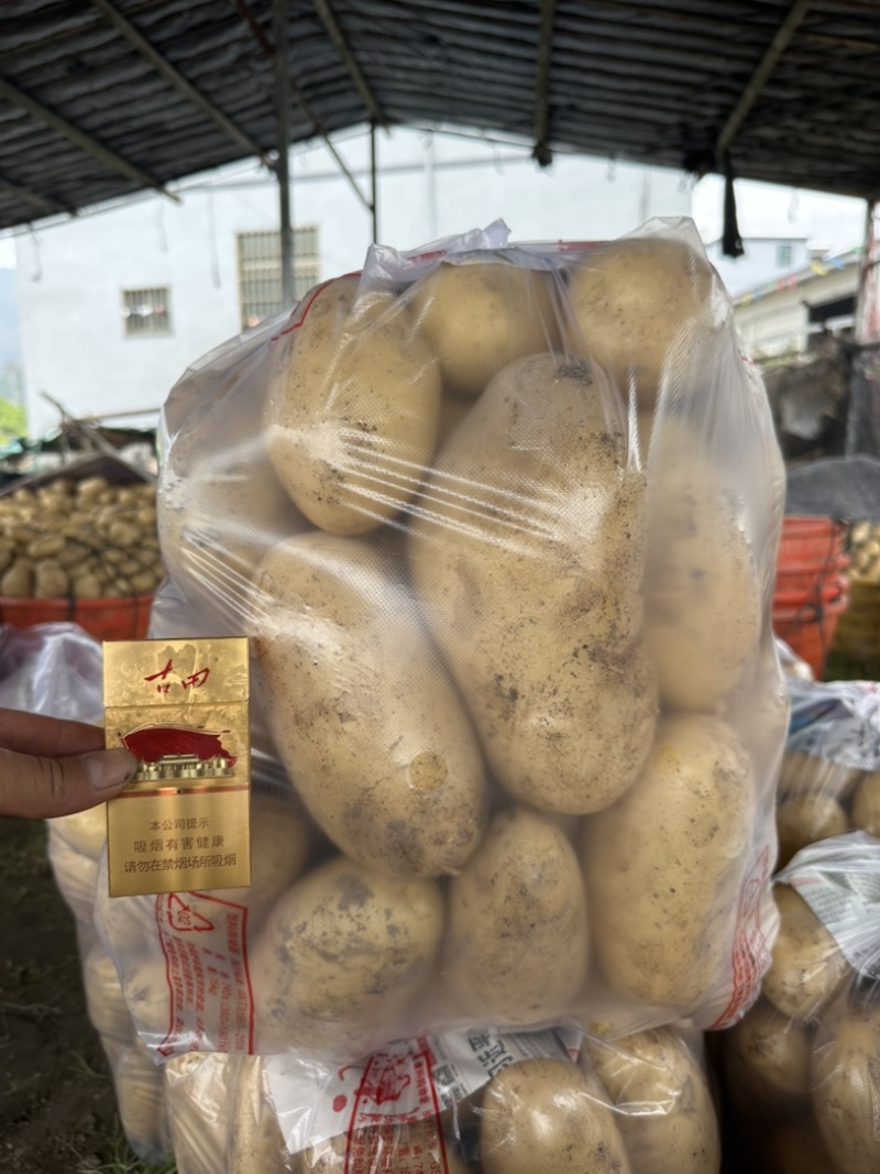 新土豆🥔沃土5号黄皮黄心💛新鲜上市，不空心，谢谢