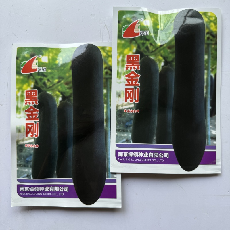 黑金刚杂交冬瓜种子绿领牌抗病高品质厚肉型墨绿色炮弹型冬瓜