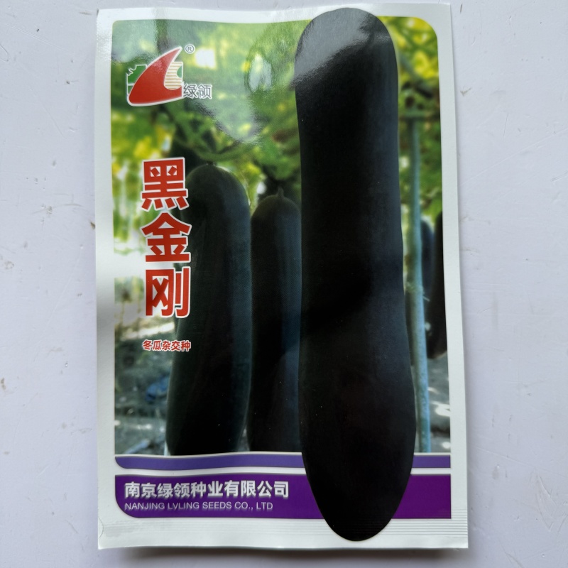 黑金刚杂交冬瓜种子绿领牌抗病高品质厚肉型墨绿色炮弹型冬瓜