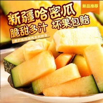 新疆哈密瓜，原产地采摘，西州蜜17号，皮薄肉厚，香甜多汁