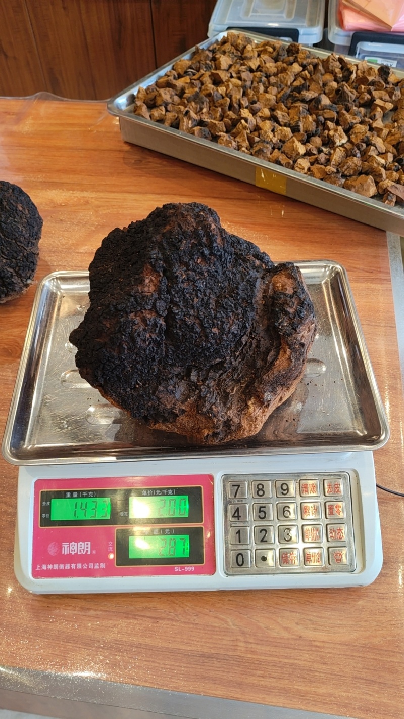 桦树茸，白桦茸，桦褐孔菌，全品类批发，质量好，全国批发