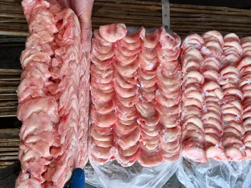 猪金钱骨一箱700片左右纯干不带肉