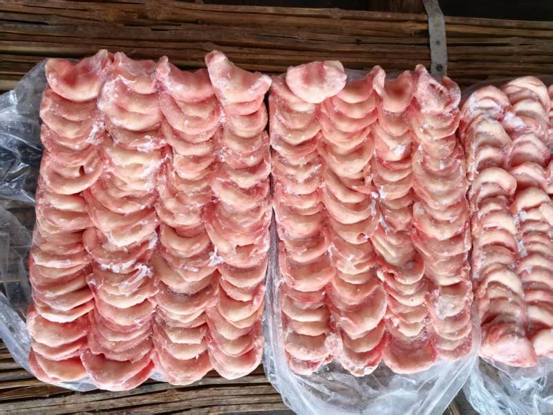 猪金钱骨一箱700片左右纯干不带肉