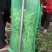 白豆直供商超电商！大量上市中！万亩种植基地！