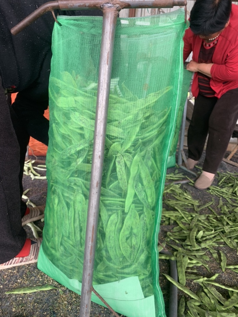 白豆直供商超电商！大量上市中！万亩种植基地！