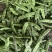 白豆直供商超电商！大量上市中！万亩种植基地！