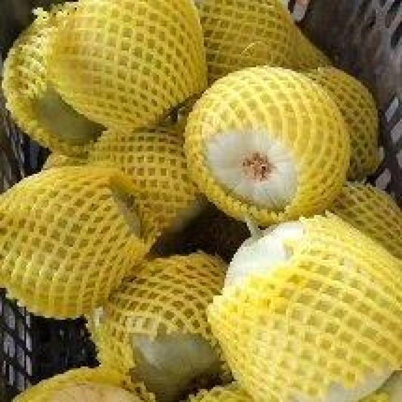 绿宝甜瓜绿宝石香瓜基地直销量大质优价优欢迎咨询采购