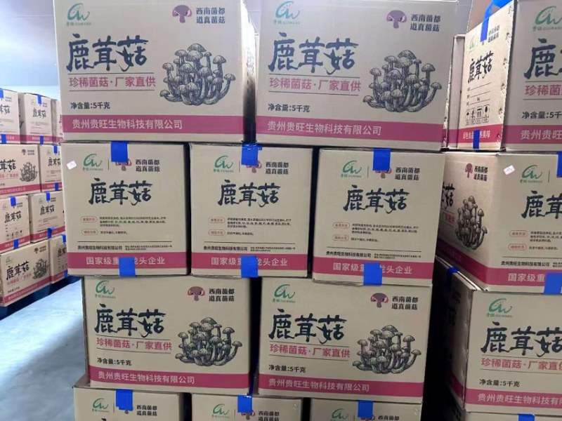 【浓汤杀手】排骨/鸡汤沸腾前撒一把，鲜味瞬间提升3个le