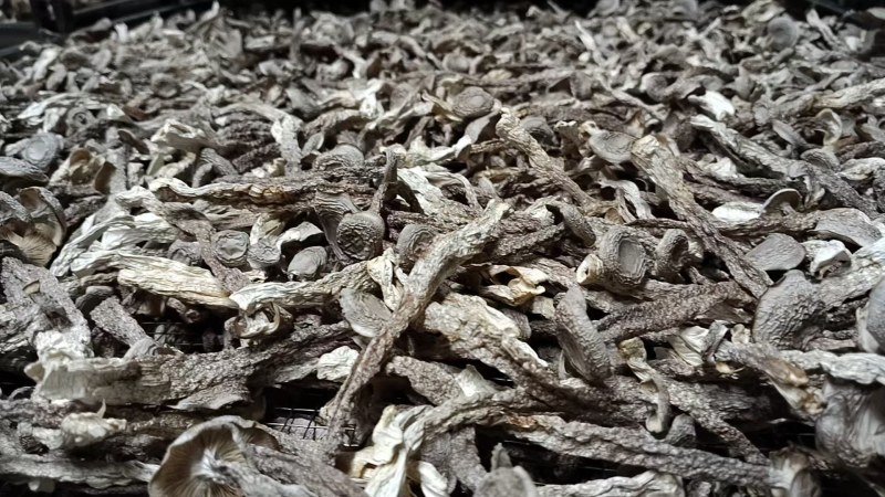 【浓汤杀手】排骨/鸡汤沸腾前撒一把，鲜味瞬间提升3个le