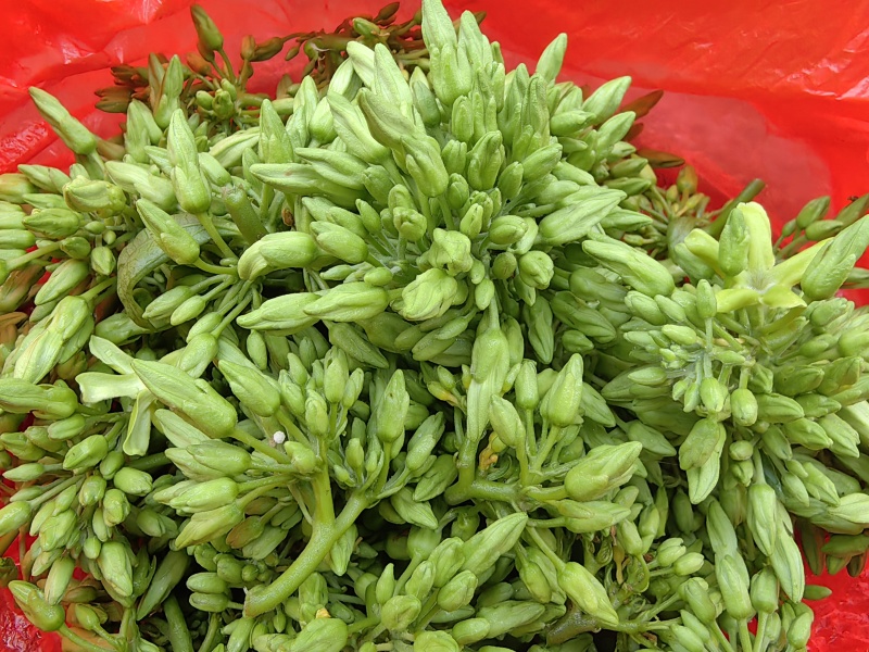 夜香花