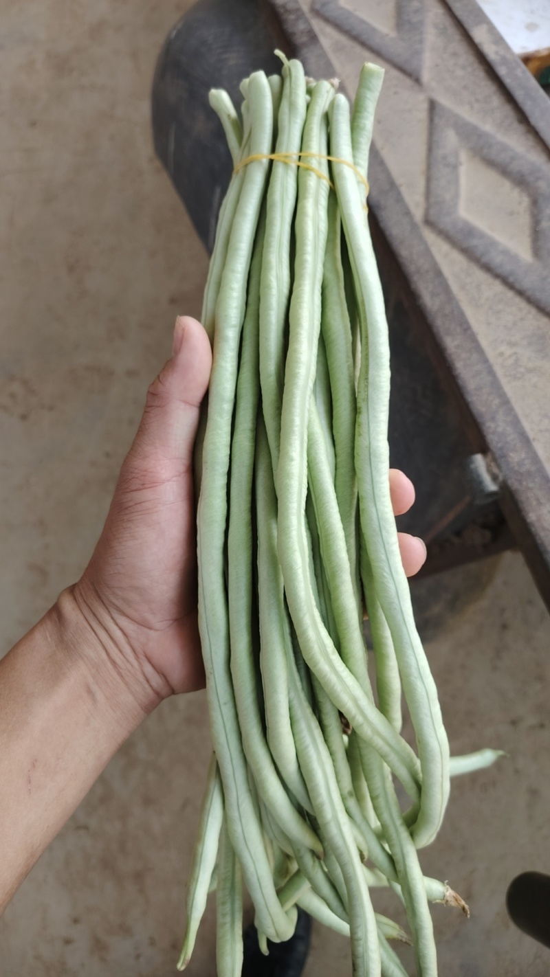 甜豆角