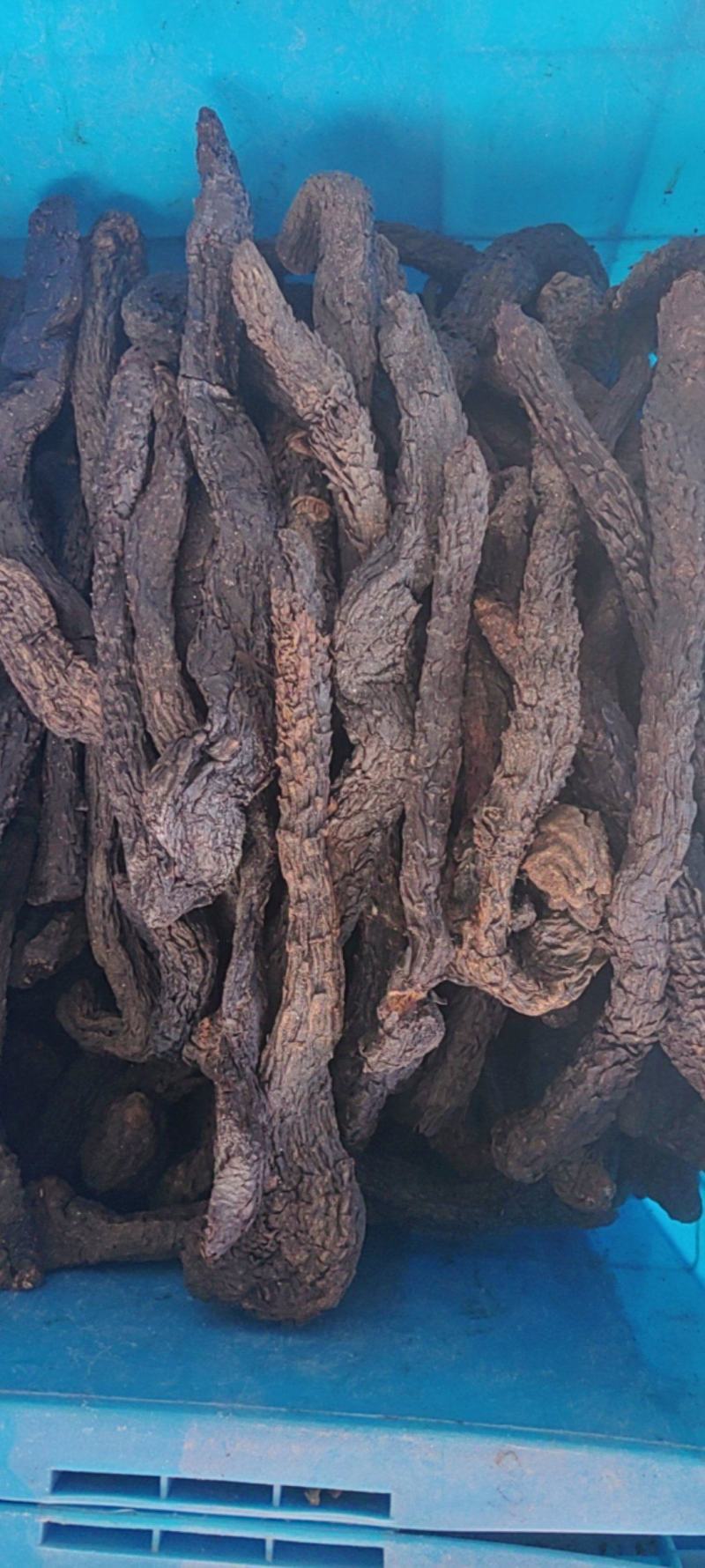 肉苁蓉个子产地价格
