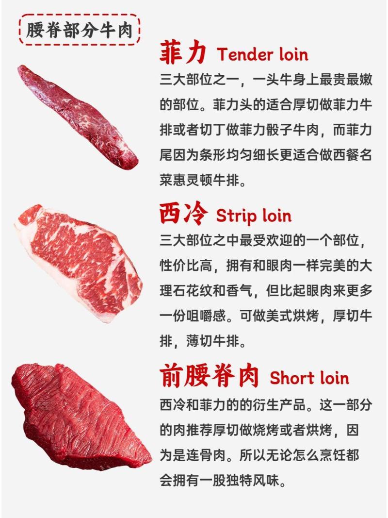 牛肉筋供货商实力厂家山东大型肉联厂可定制可签