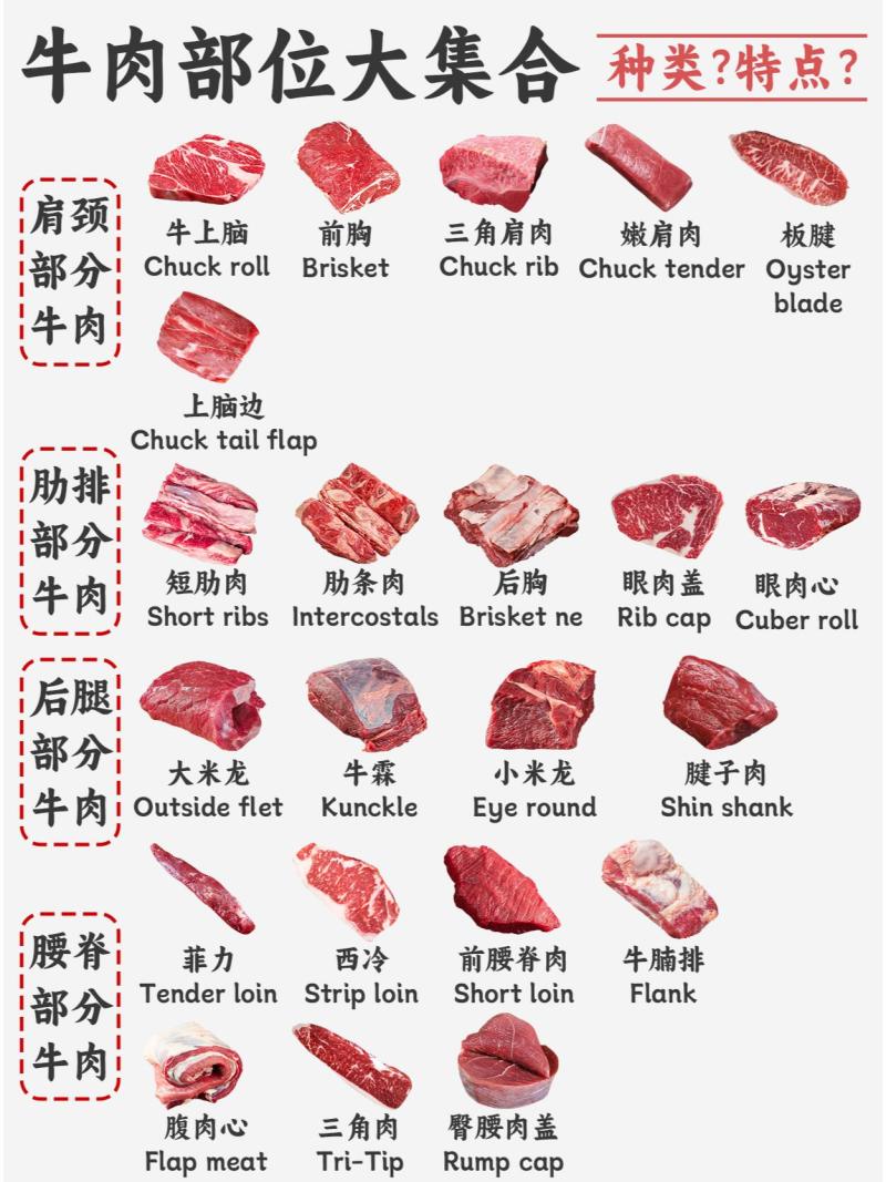 牛肉筋供货商实力厂家山东大型肉联厂可定制可签