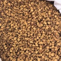 甘草炙甘草红皮炙甘草蜜甘草蜜炙甘草新疆产地货源