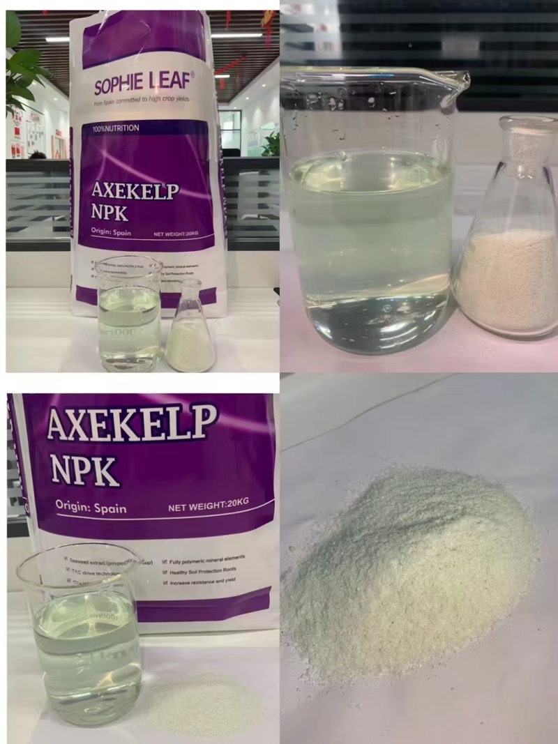 西班牙艾普原装进口柠檬酸磷酐添加泡叶藻的大量元素水溶肥