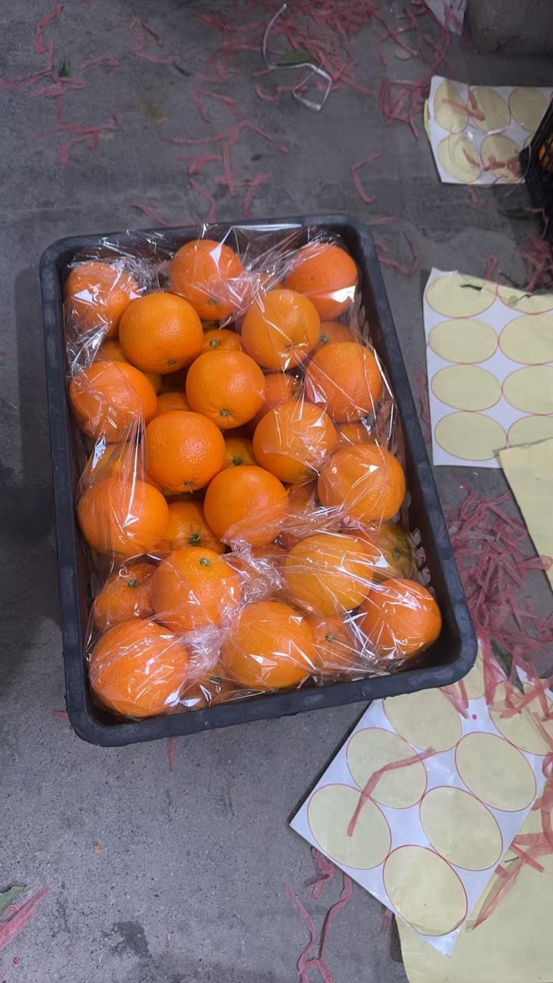 《精品》伦晚脐橙一手货源甜度高汁水足对接电商商超全国供应