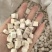 茯苓云苓茯苓丁安徽产地货源大货供应多种规格