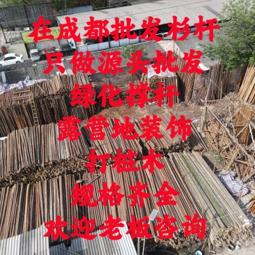在成都批发杉杆竹子，欢迎老板咨询