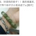火爆摆地摊神器，正品菩提绕指柔手串，厂家批发。