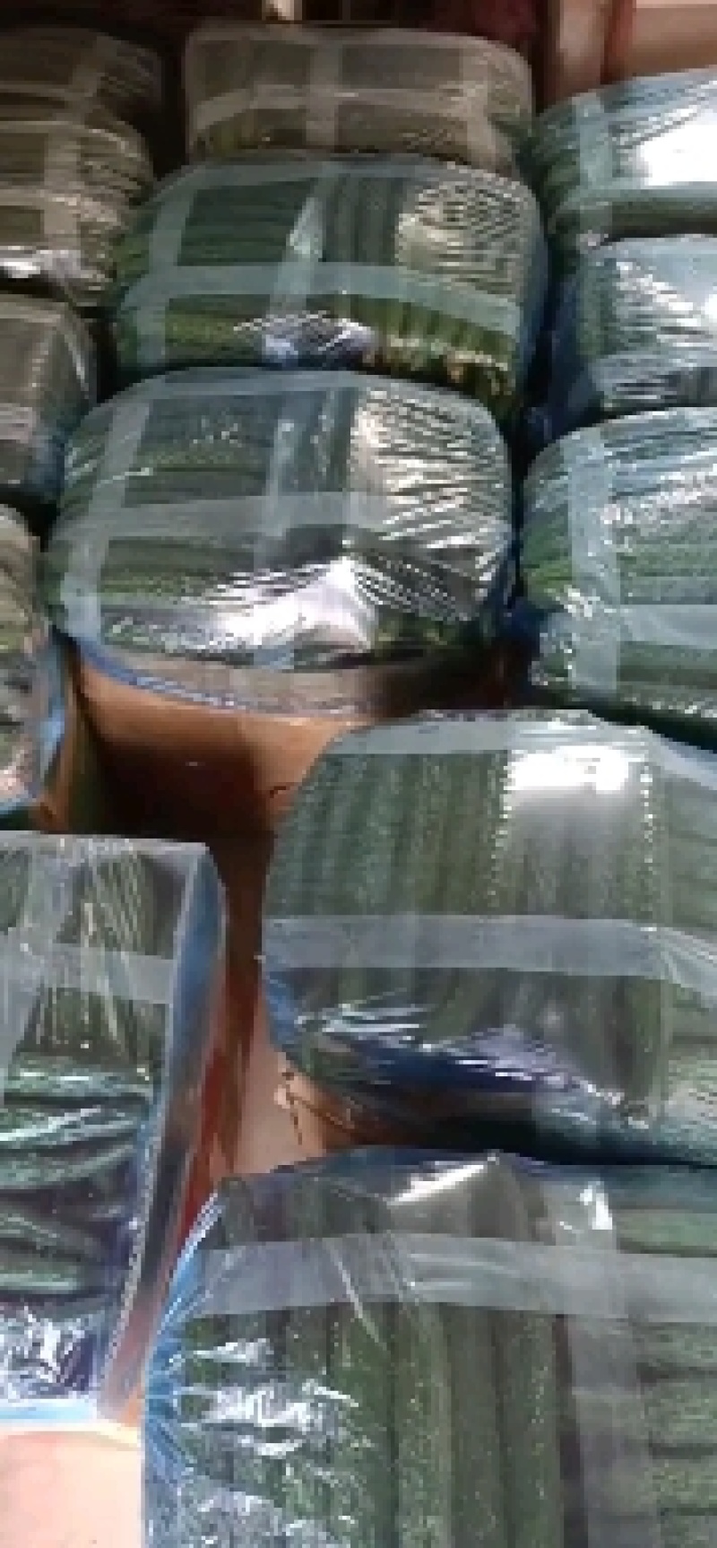 精品大棚密刺黄瓜大量上市精品大棚密刺黄瓜大量上市