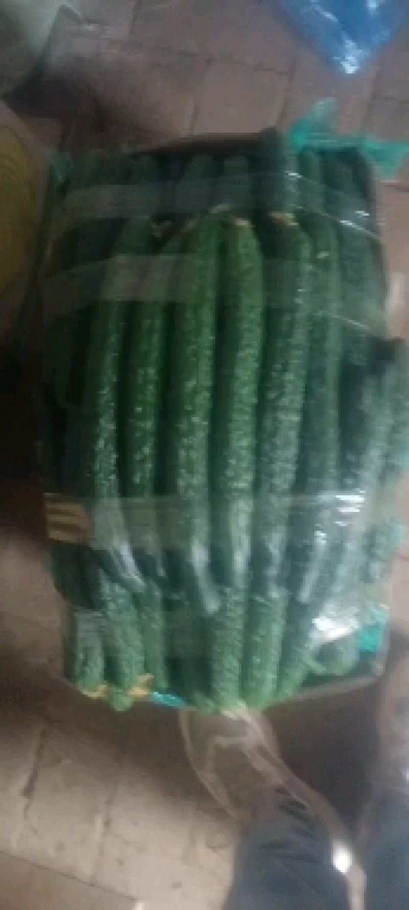 精品大棚密刺黄瓜大量上市精品大棚密刺黄瓜大量上市