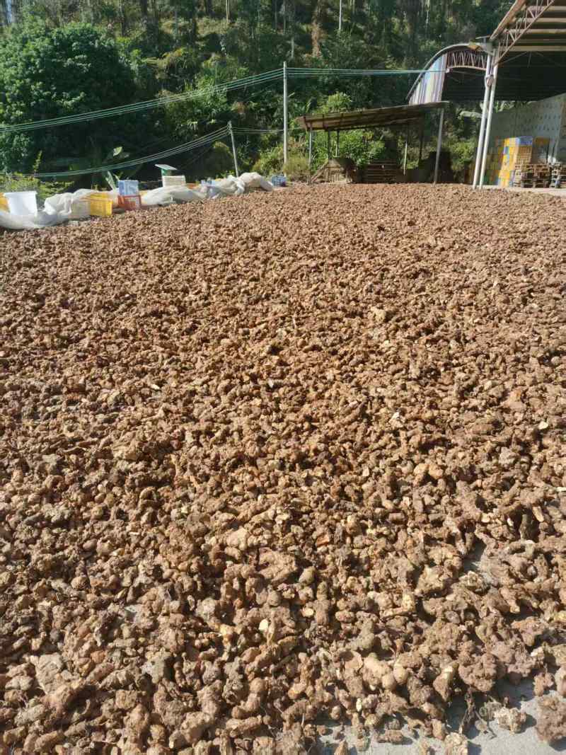 本地土茯苓长条块白肉粉质，足干无碎大量批发，量大欢迎洽谈