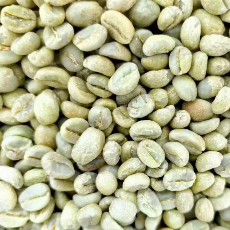 云南咖啡豆种植基地铁皮卡卡蒂姆量大品质优选发货稳定生熟豆