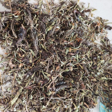 甘松香干松祥泰药材栈中药材批发零售实物拍摄量多从优
