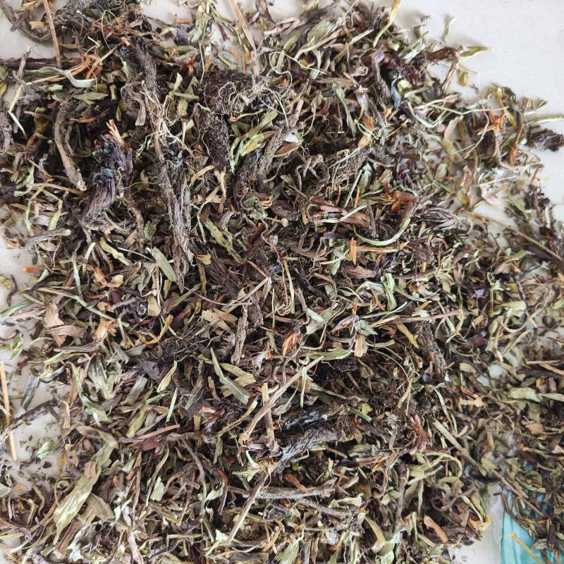 甘松香干松祥泰药材栈中药材批发零售实物拍摄量多从优