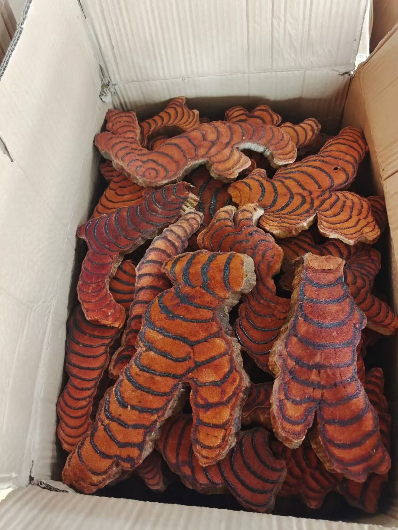 鸡血藤厚片靓货基地直供大量有货可电话咨询