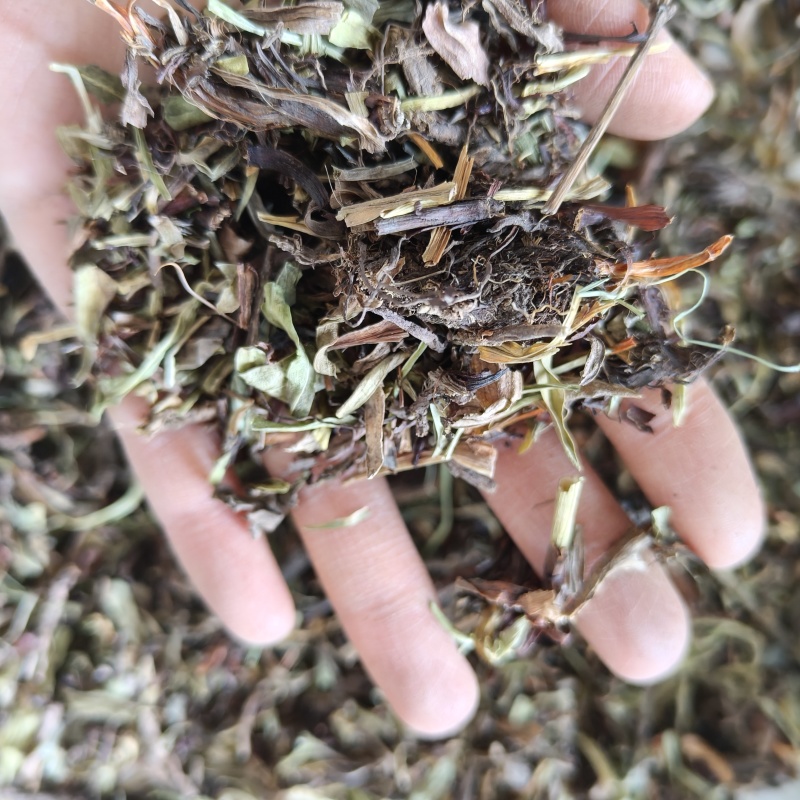 甘松香干松祥泰药材栈中药材批发零售实物拍摄量多从优