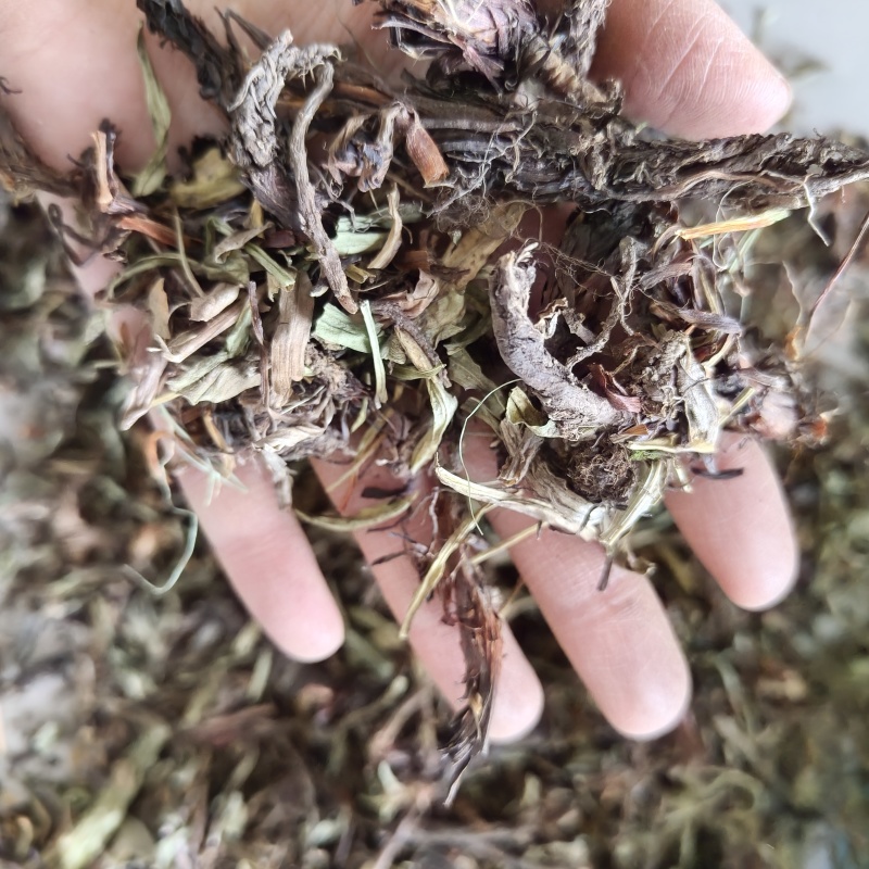 甘松香干松祥泰药材栈中药材批发零售实物拍摄量多从优