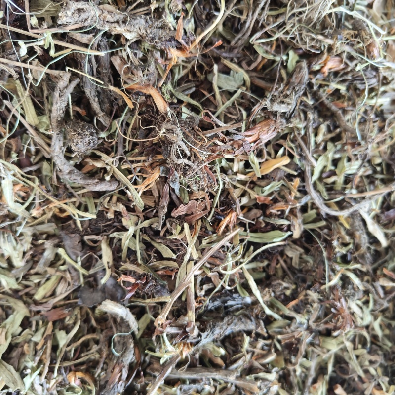 甘松香干松祥泰药材栈中药材批发零售实物拍摄量多从优
