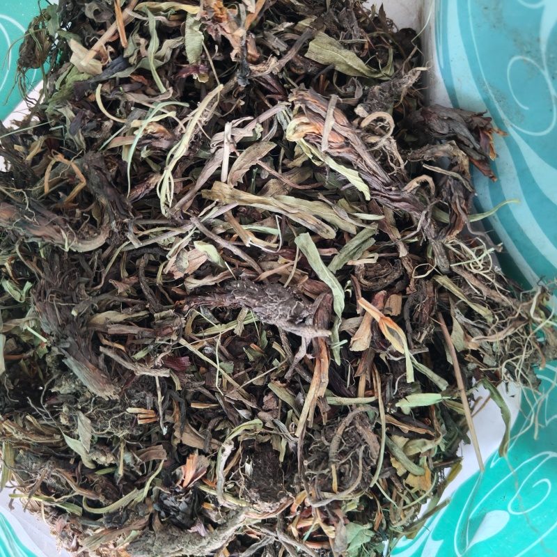 甘松香干松祥泰药材栈中药材批发零售实物拍摄量多从优