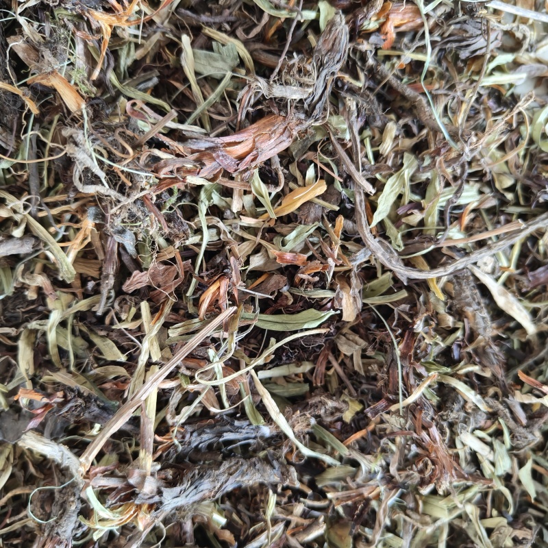 甘松香干松祥泰药材栈中药材批发零售实物拍摄量多从优