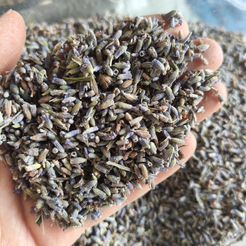 薰衣草干花粒祥泰药材栈中药材批发零售实物拍摄量多从优