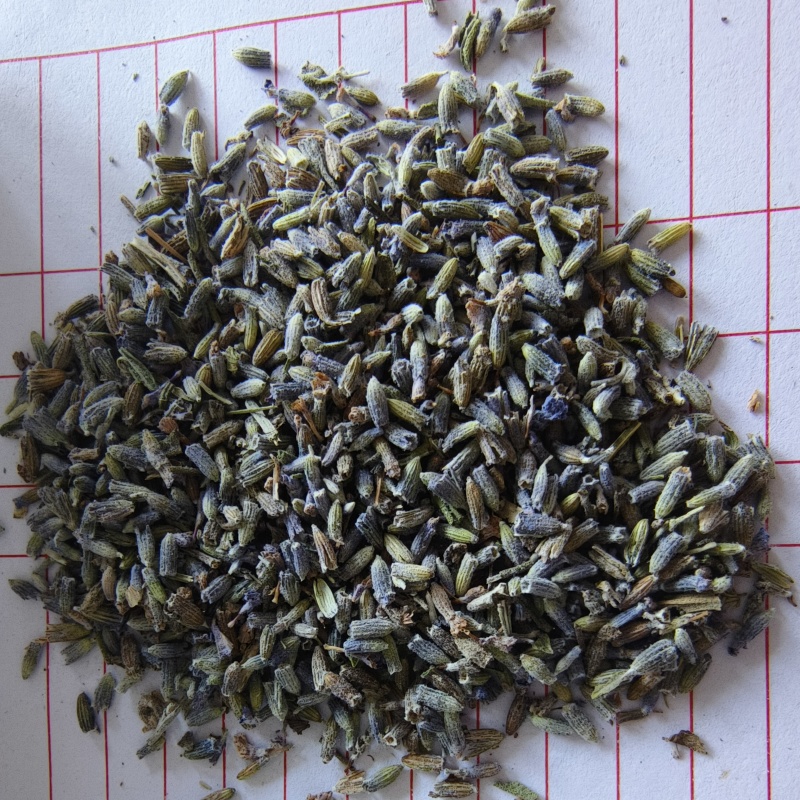薰衣草干花粒祥泰药材栈中药材批发零售实物拍摄量多从优